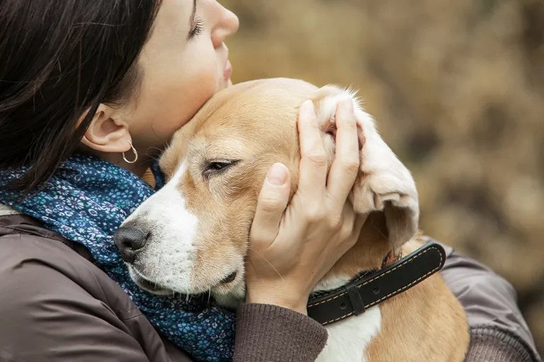 chien dans les bras de sa maitresse qui lui fait un câlin