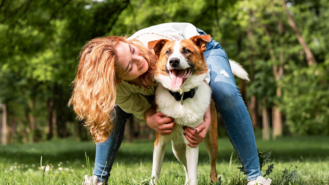 Découvrez des activités à réaliser avec votre animal